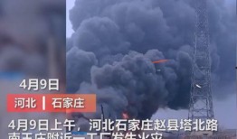 巡洋传媒 爆料视频最新,揭秘娱乐圈幕后真相