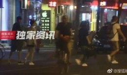 最新爆料王丽坤视频播放,幕后真相引发热议