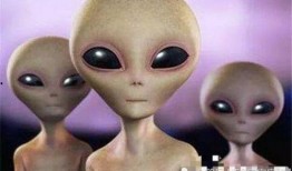 最新爆料外星人,外星生命迹象引发全球关注