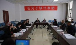 石河子爆料最新,揭秘城市变迁背后的故事