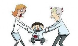 石家庄小孩爆料事件最新,揭秘背后惊人真相