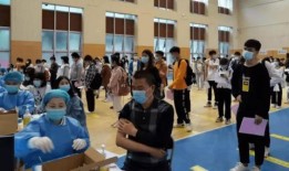 漆树车祸爆料最新消息,事故原因调查及伤亡情况披露
