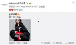 floki最新爆料,揭秘加密货币界的惊天秘密